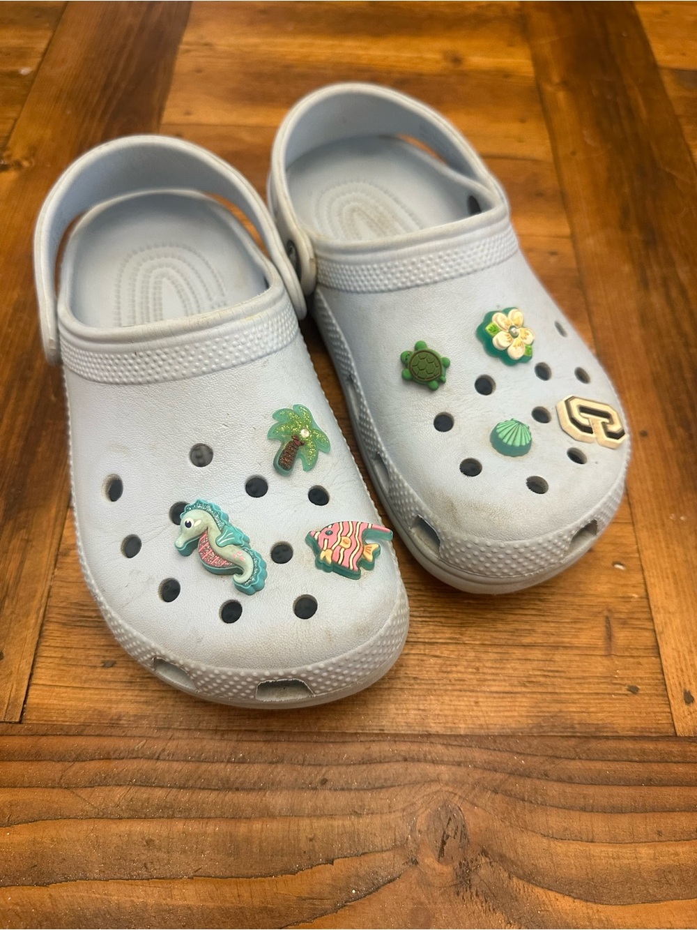 CROCS Light Blue Kids Clogs with Fun Jibbitz Charms
